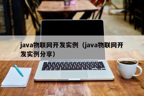java物联网开发实例（java物联网开发实例分享）