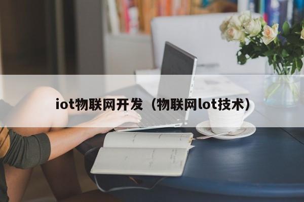 iot物联网开发（物联网lot技术）