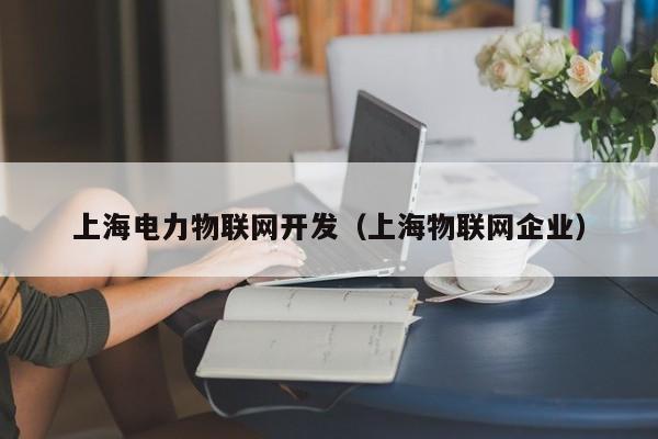 上海电力物联网开发（上海物联网企业）