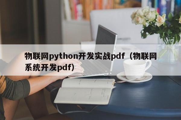 物联网python开发实战pdf（物联网系统开发pdf）