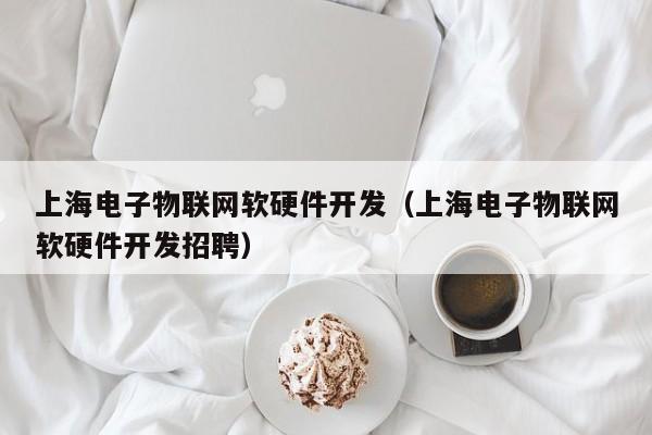 上海电子物联网软硬件开发（上海电子物联网软硬件开发招聘）