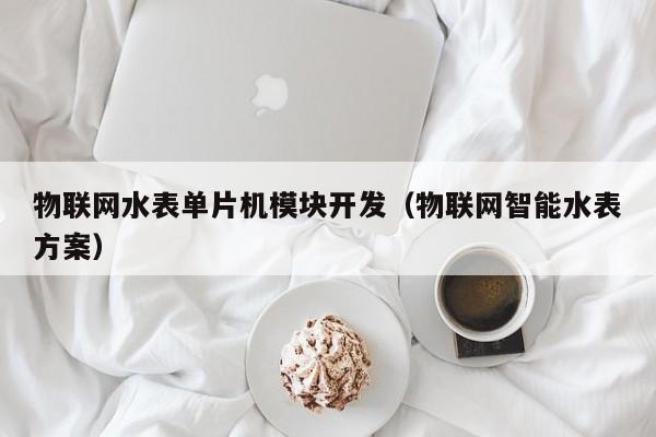 物联网水表单片机模块开发（物联网智能水表方案）