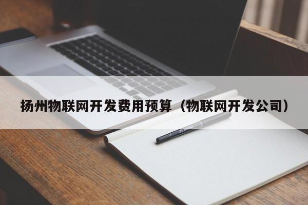 扬州物联网开发费用预算（物联网开发公司）