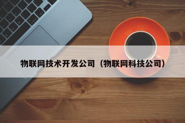 物联网技术开发公司（物联网科技公司）