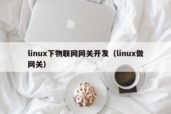 linux下物联网网关开发（linux做网关）